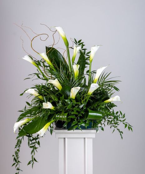 Celestial Whites Calla Arrangement