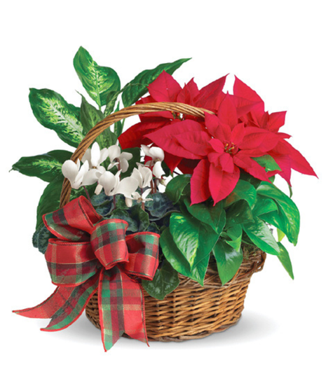 Holiday Homecoming Planter Basket