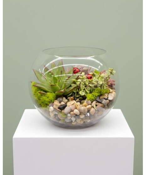 Ladybug Kisses for Mom