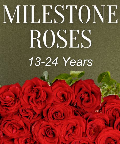 Milestone Roses 13-24 Years