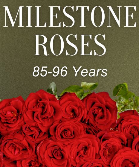 Milestone Roses 85-96 Years