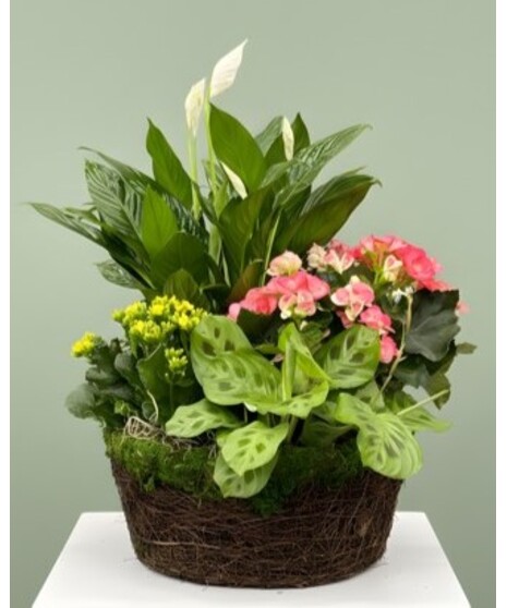 Mom's Garden of Love