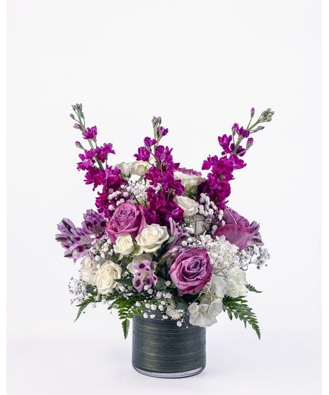 Purple and White Spirit