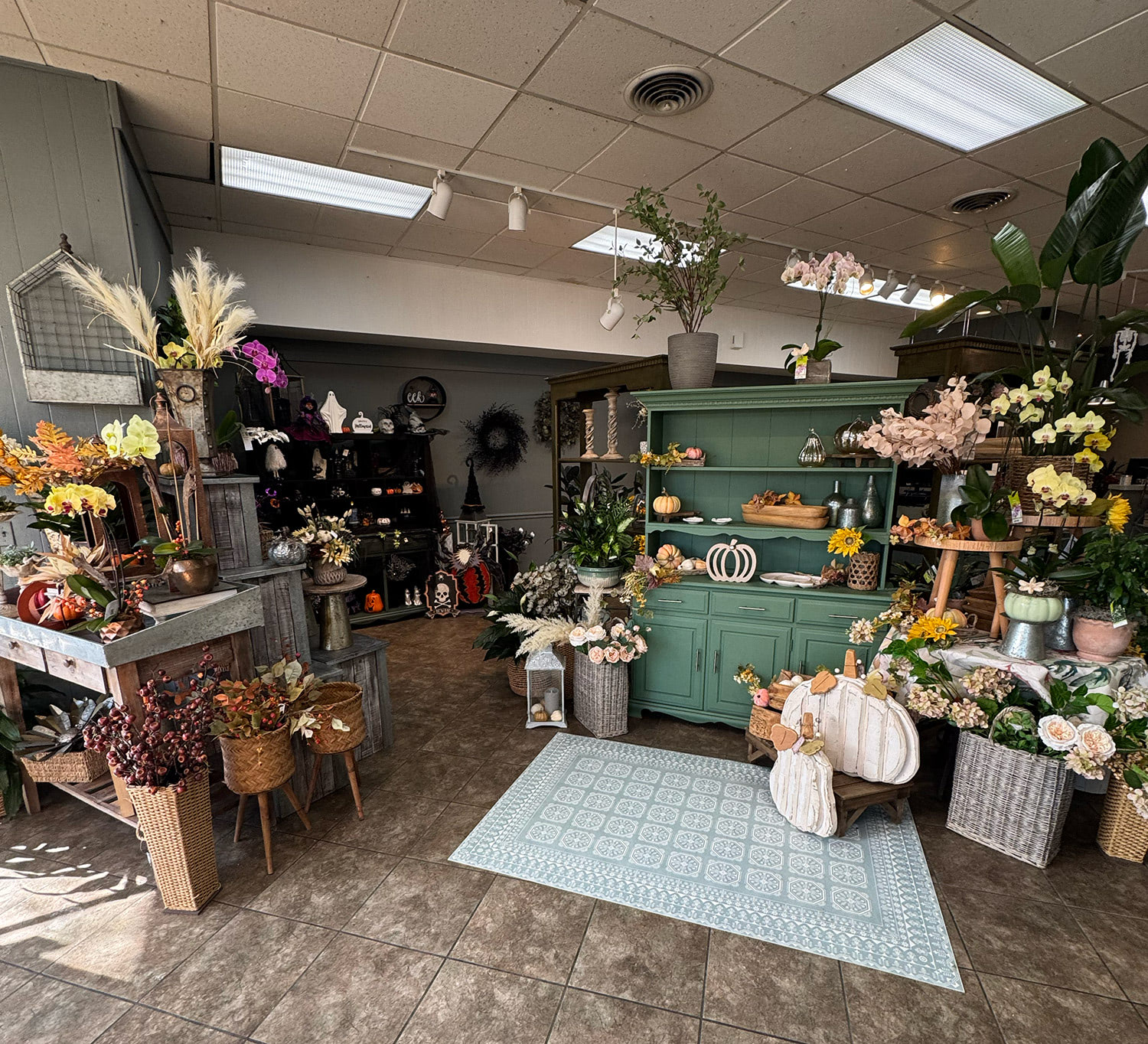 Step inside the door of our Elmhurst showroom