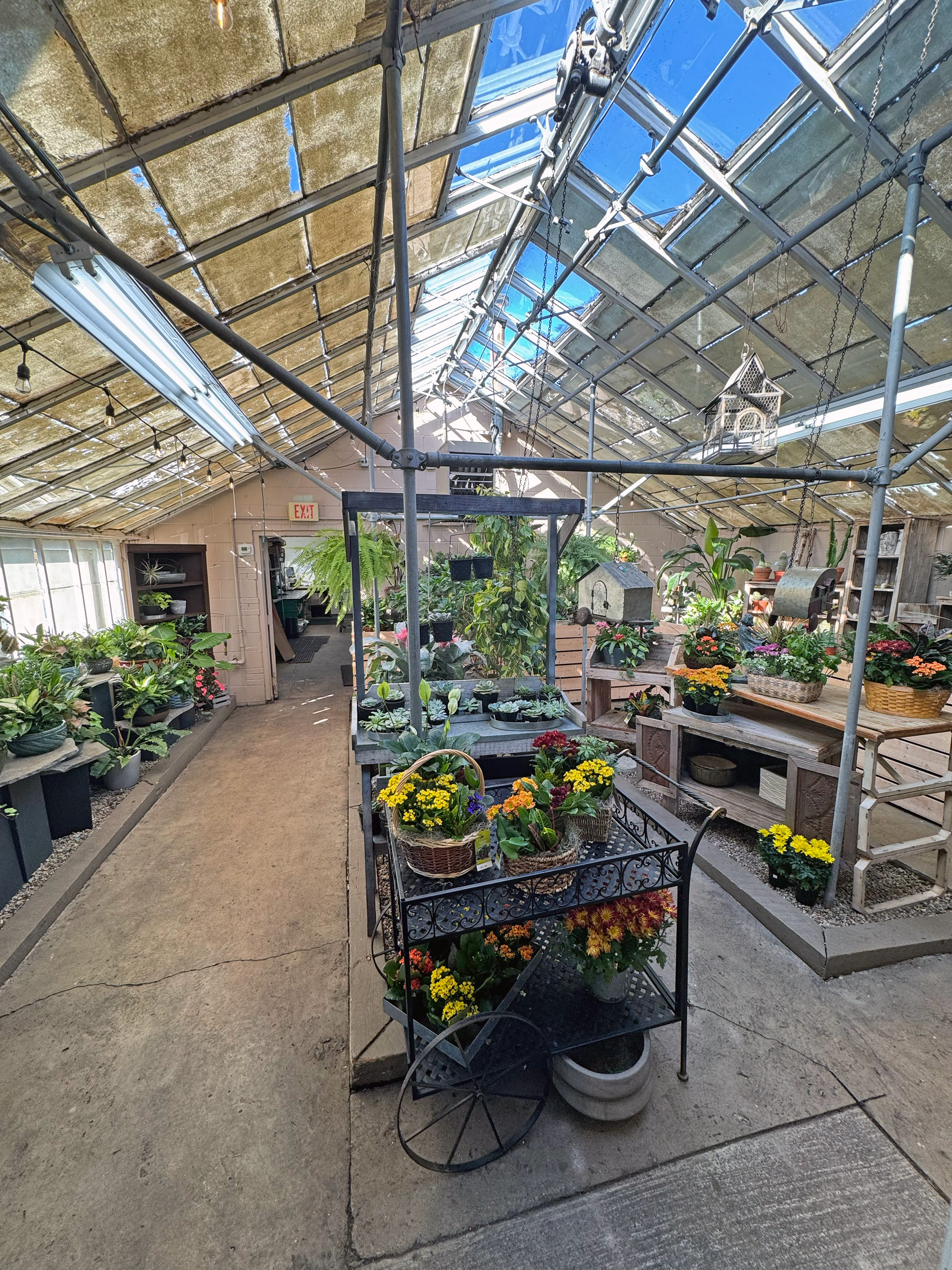 A peek inside our Elmhurst greenhouse