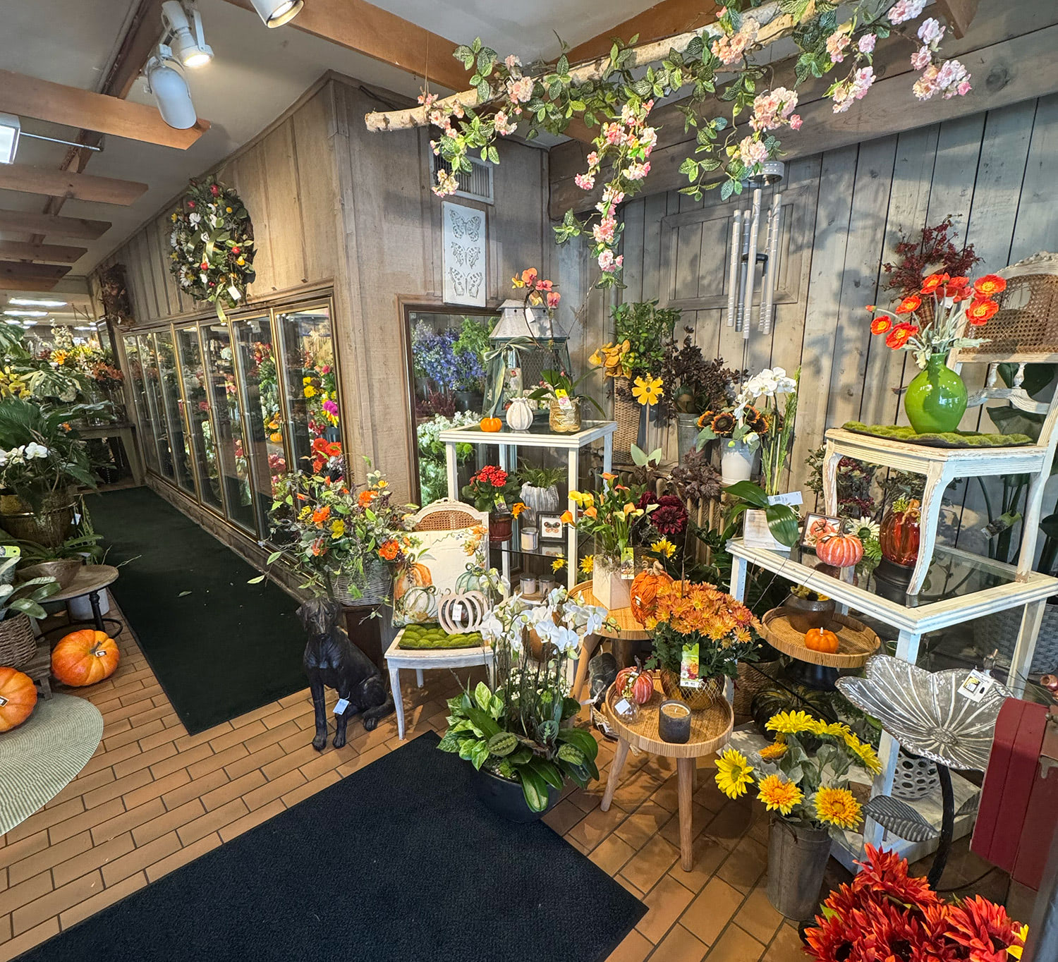 Fall colors and evergreen plants at our Hinsdale location