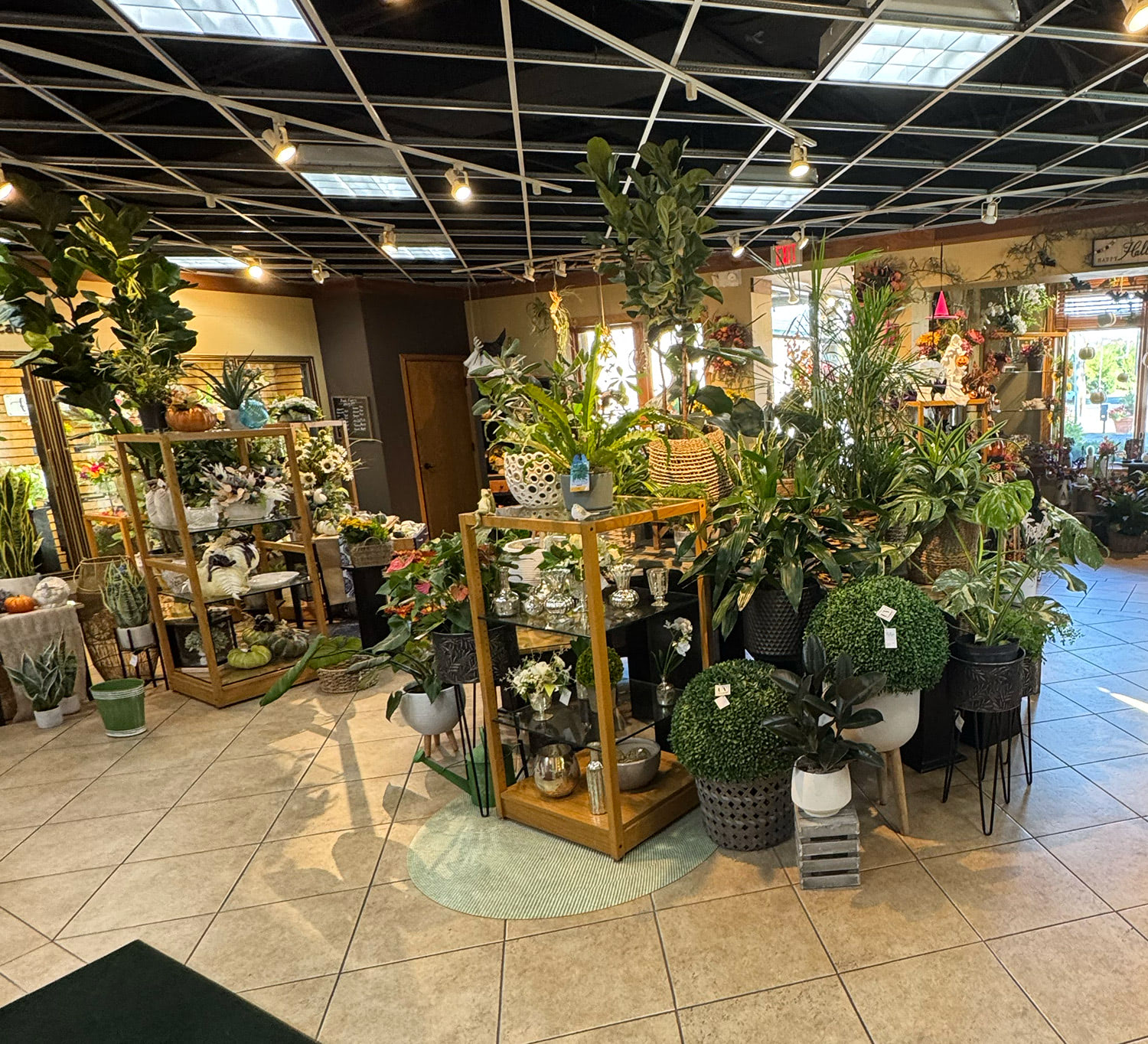 A wide range of indoor and outdoor plants are available in our Westmont shop