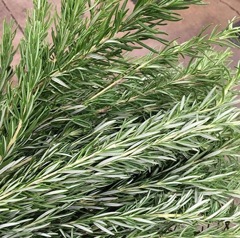 Rosemary