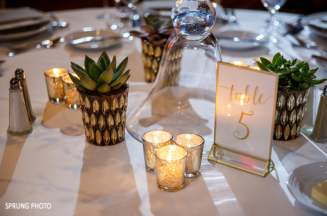 Succulents and Votives