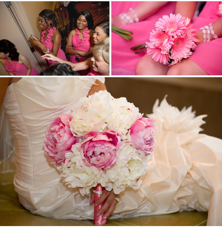 Pink Gerbera Daisies