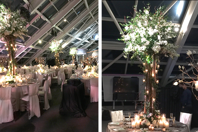 Adler Planetarium Reception