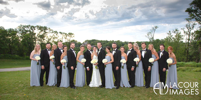 Periwinkle Blue Wedding Paty