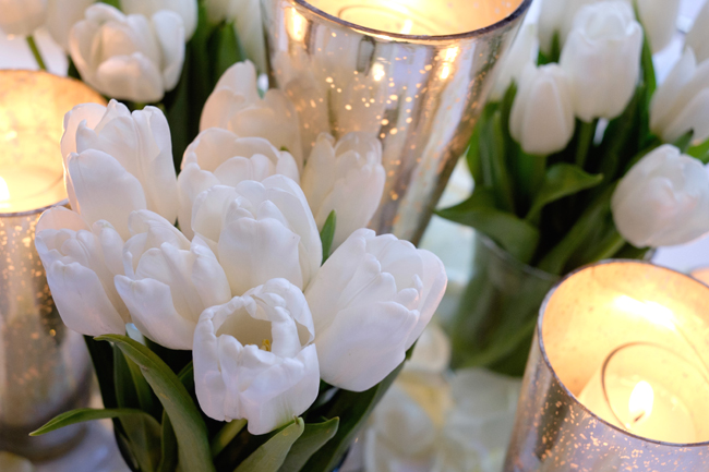 Tulips and Candles