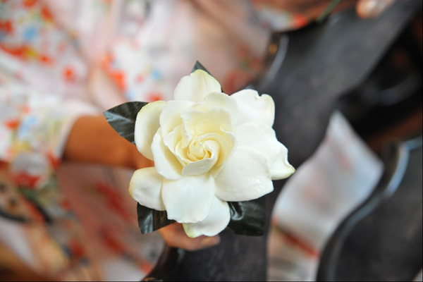 Gardenia Blossom