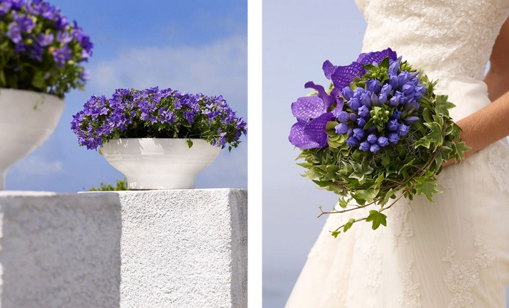 Mediterranean Inspiration