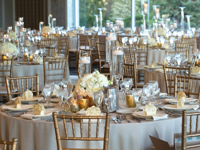 White and Gold REception