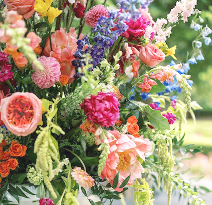 Lush Spring and Summer Flowers