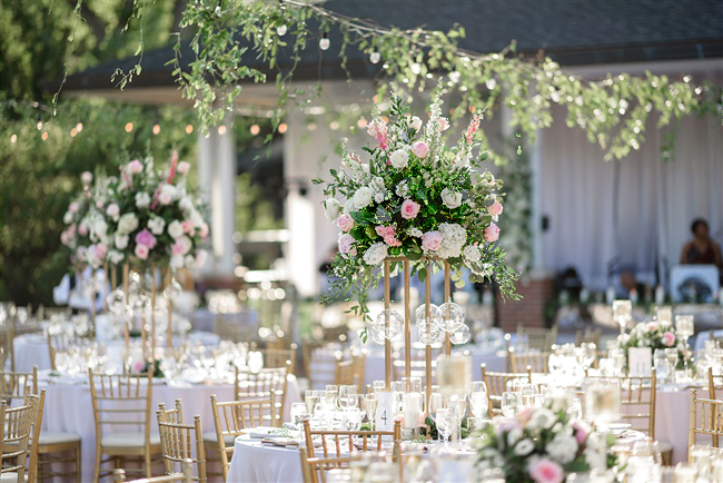 Outdoor Reception