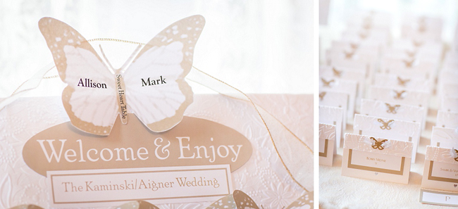 Pink Butterfly Theme