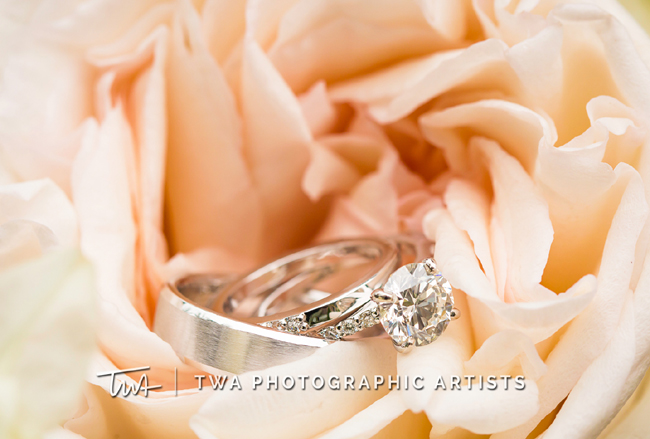 Pink Rose and Wedding Rings