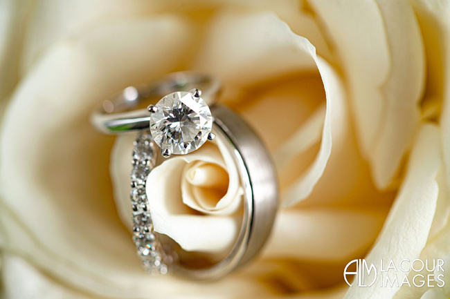 Rose and Wedding Rings