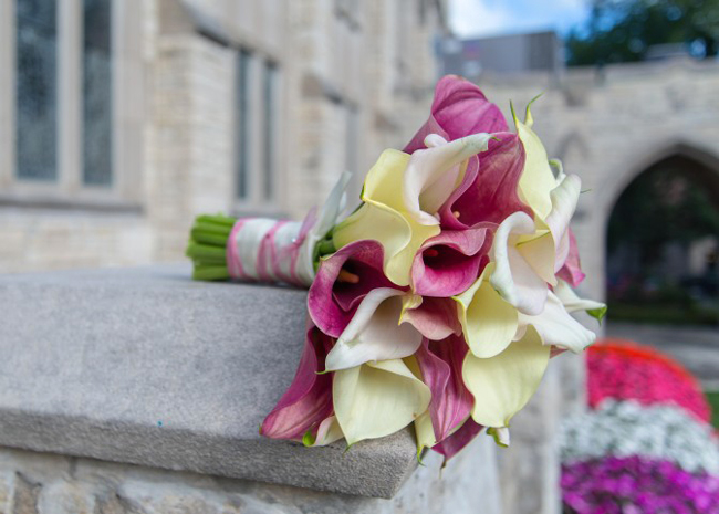 Romantic Mini Callas